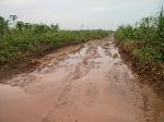 Muddy Road